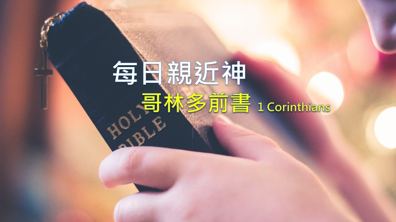 You are currently viewing 每日親近神 2022/03/09 哥林多前書 第7天