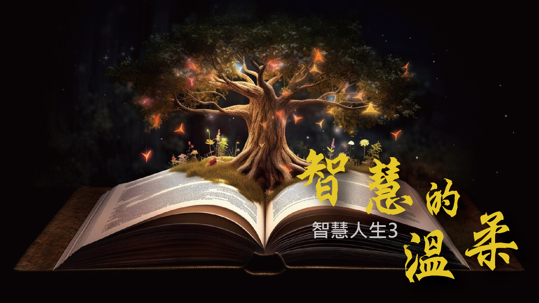 You are currently viewing 【智慧人生-3】智慧的溫柔|20240121|高雄基督之家主日崇拜