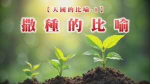 【天國的比喻1】撒種的比喻|20260301|高雄基督之家主日崇拜